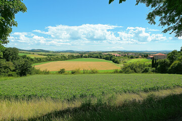 Wall Mural - A panoramic view of Eastern Europe, lush and natural, landscape setting.