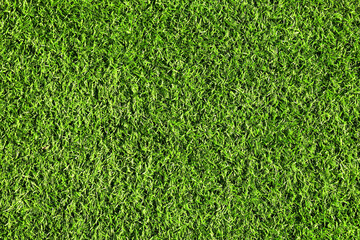 Canvas Print - top view artificial Grass background