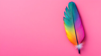 un fondo rosa liso rosa magenta con espacio de copia con una pluma de ave colorida para tarjeta o diseño creativo