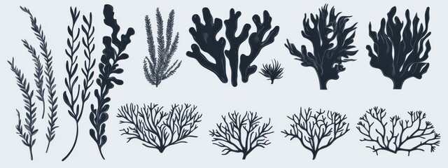 Wall Mural - Depicted in a hand-drawn modern ink illustration, coral reefs and seaweed are modern underwater plant icons, with naive style leaves, algae, and fronds