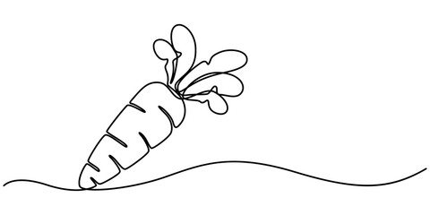 Simple carrot in continuous one line art drawing icon isolated on white background vector illustration, Growing carrot plant minimalist outline vector, one line drawing carrot vegetable vector pro. 