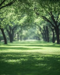 Wall Mural - Serene park landscape with lush green grass and sunlit trees creating a peaceful and inviting atmosphere for relaxation