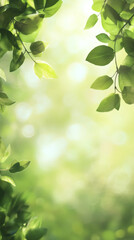Aufkleber - Green leaves framing blurred background, softly glowing under warm sunlight, revealing peaceful natural environment with vibrant depth