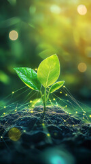 Poster - Seedling sprouting through digital network, symbolizing technological innovation merging with sustainable agricultural development