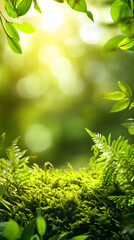 Aufkleber - Sunlight filters through leaves, illuminating vibrant green moss and fern plants thriving in a serene forest setting