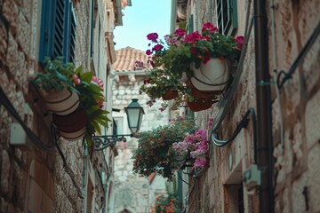 Charming cobblestone alley adorned with blooming flowers and warm sunlight in a quaint village during the afternoon