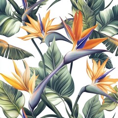 Wall Mural - A transparent background featuring a solitary Strelitzia flower, generated through AI