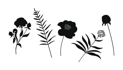 Wall Mural - Aesthetic silhouette botanical flower and leaves.Vector illustration.
