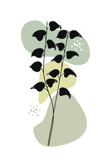 Wall Mural - Contemporary botanical erythrina plant hand-drawn.Vector illustration