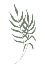 Wall Mural - Green palm leaf tropical hand drawn.Vector illustration.