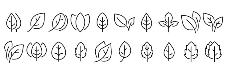 Poster - minimalist leaf line icons set