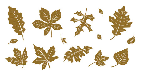 Wall Mural - a collection of autumn leaves in brown silhouette style.vector illustration.
