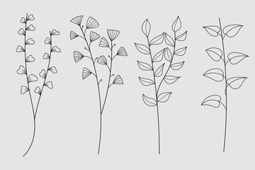 Wall Mural - Twigs with leaves hand - drawn botanical collection.Vector illustration