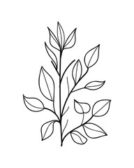 Wall Mural - Hand-Drawn Twigs with Leaves in a Botanical Style.Vector illustration