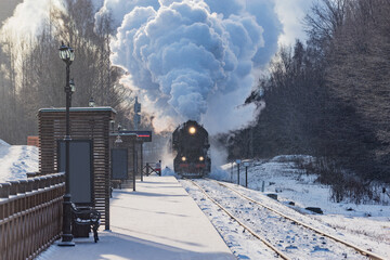 Wall Mural - Retro train arrives at winter morning.