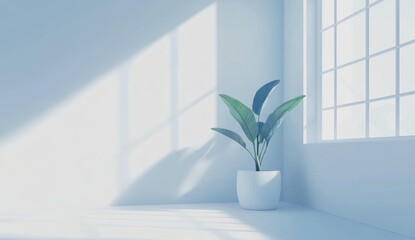 Wall Mural - Minimalist plant corner room sunlight interior design