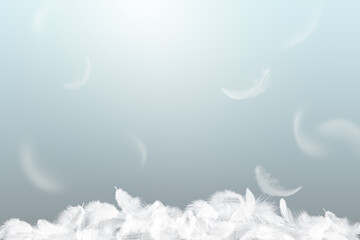 Wall Mural - many soft white feathers falling in the air. fluffy downy, peace. softness of floating feathers. fea