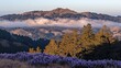 © นัสรีน ถนอมวงศ์ - Breathtaking sunrise over rolling hills marin county landscape photography natural environment wide angle serenity