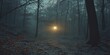 © Goncharenko - Forest Lighting Through Trees