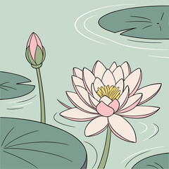 Wall Mural - vector illustration of lotus flower