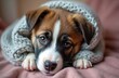 © Vadym - Cute puppy wrapped in gray knitted scarf lies on a pink blanket. Portrait of dog. Pet looks calm. Animal shelter, care, rescue, adoption. Compassion to domestic animals.