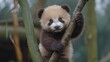 © Tatiana Vagizova - Cute Panda Cub Climbing a Tree with Curiosity. Generative AI