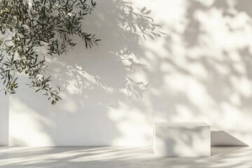 Wall Mural - White cube display, olive branch shadow, sunlight, minimalist backdrop, product showcase