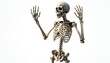 © ลลิดา ไชยศรีษะ - Skeleton Raising Hands in Surprise or Fear