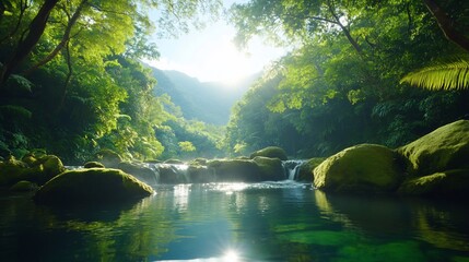 Wall Mural - Sunlit jungle stream, lush valley, tranquil scene, nature wallpaper