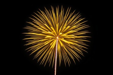 Wall Mural - araffe of yellow fireworks in the dark sky with a black background
