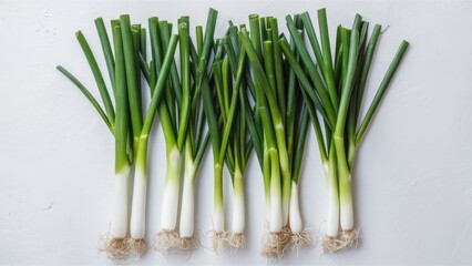 Sticker - Fresh green onions arranged in a neat row with vibrant green tops and white bulbs on a clean white background emphasizing freshness and culinary use.