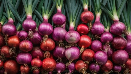 Sticker - Fresh assorted onions in vibrant purple and red hues, arranged in a colorful display with green stems on a dark background.