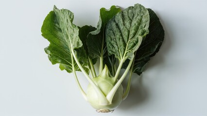 Sticker - Kohlrabi with vibrant green leaves positioned upright against a clean white background emphasizing its fresh, organic appearance and texture.