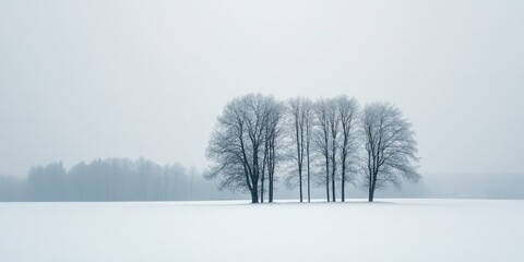 Aufkleber - Winter landscape with a group of five bare trees in the center against a backdrop of soft white snow and a gray overcast sky.