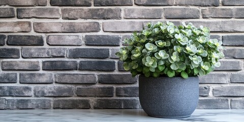 Poster - Lush green potted plant on a sleek gray marble table against a textured gray brick wall creating a stylish natural display in modern decor.