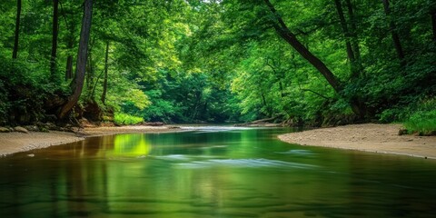 Poster - Serene river winding through lush green trees with sandy shore and calm water reflecting greenery inviting relaxation and exploration