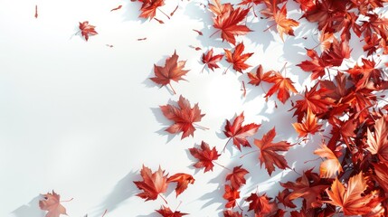 Aufkleber - Autumn leaves in vibrant red scattered across a white background, featuring varying sizes with shadow effects on the lower left side.