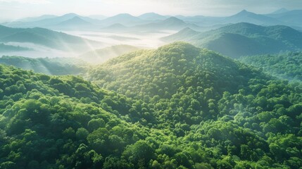 Aufkleber - Aerial view of lush green mountains with gentle hills in bright summer light, misty valleys in the background, and soft sunlight filtering through trees