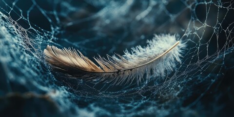 Wall Mural - Delicate golden feather resting on intricate spider web with dark blurred background, capturing a serene and fragile moment in nature.