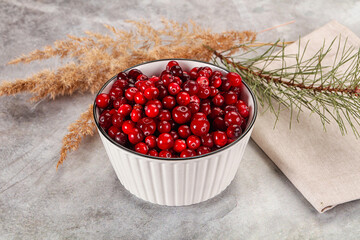 Wall Mural - Ripe sweet sour cranberry heap