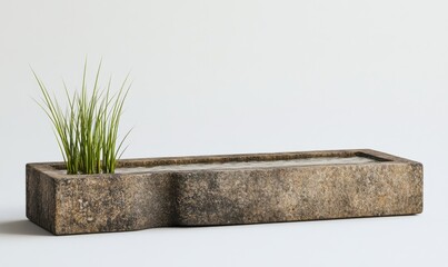 Wall Mural - A rustic rectangular planter with green grass, set against a minimalist white backdrop, ideal for decor