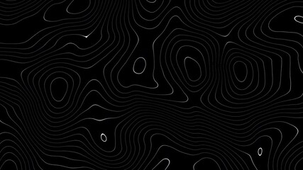 Fototapete - Colorful lines with a black background moving slowly and irregularly to form an abstract shape, ideal for use as background