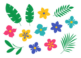 exotic flowers and tropical leaves set. palm and banana branch, plumeria and other. colorful summer 