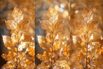 A detailed view of multiple leaves together