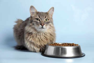 Wall Mural - Cute cat near feeding bowl with dry pet food on light blue background