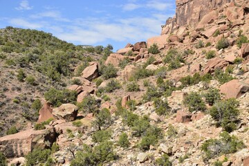 Wall Mural - Rugged desert landscape with rocky terrain and sparse vegetation. Colorado National Monument, USA