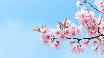 Wall Mural - bloom contemporary spring background