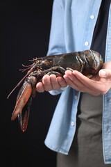 Sticker - Man with raw lobster on black background, closeup