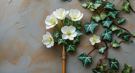 Wall Mural - White flowers and green ivy leaves arranged on a textured gray background with a wooden stick.