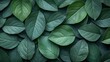 © RONNY - Lush Green Leaves Background